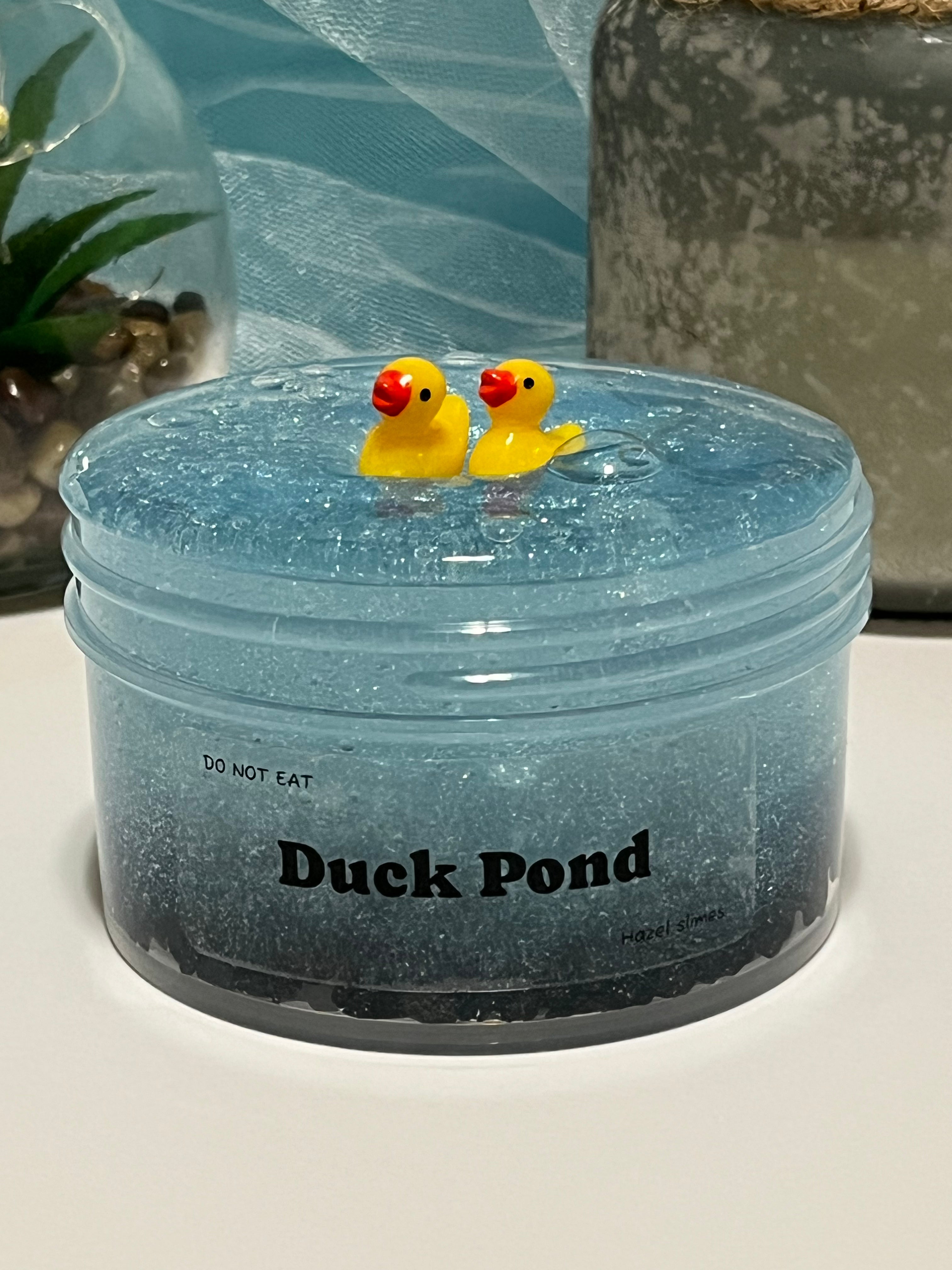 Duck Pond Slime